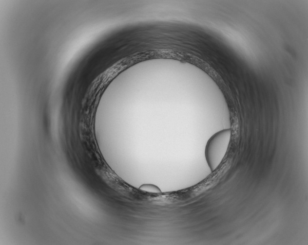 X0000115680430200911120951