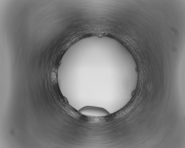 X0000115680432200911120951