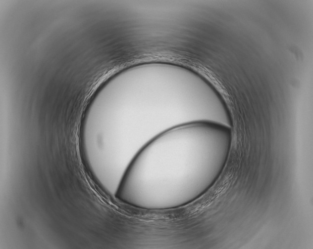 X0000115680434200911120950