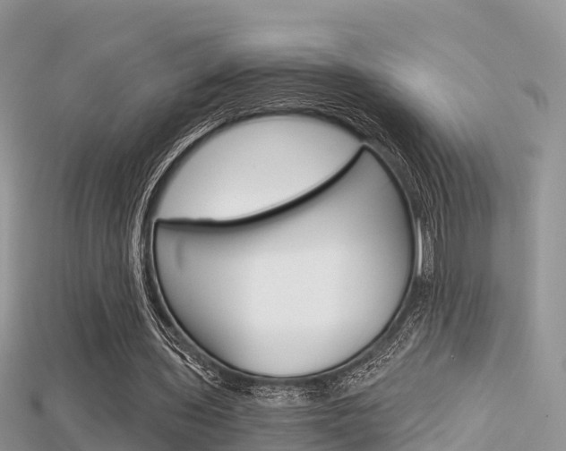 X0000115680435200911120950