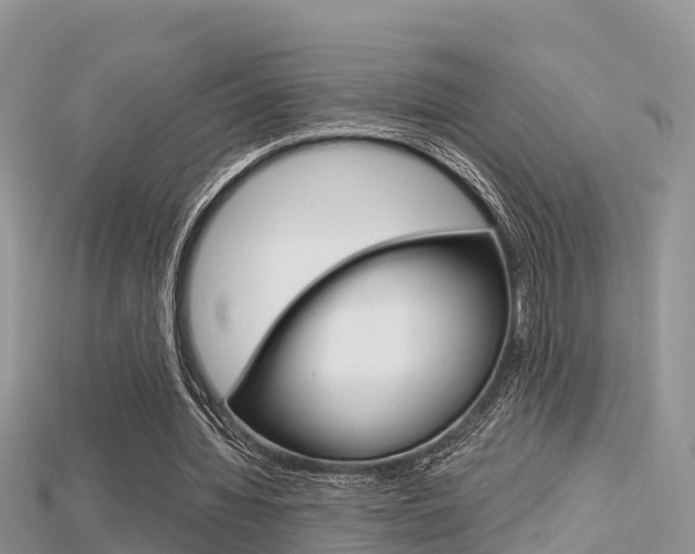 X0000115680436200911120950