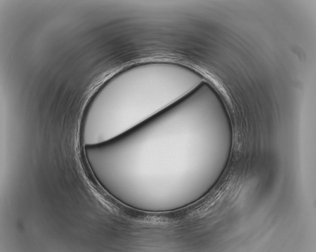 X0000115680437200911120950