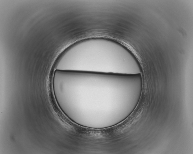 X0000115680439200911120950