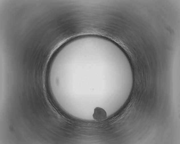 X0000115680440200911120950