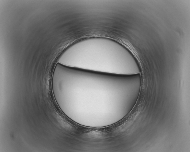 X0000115680441200911120950