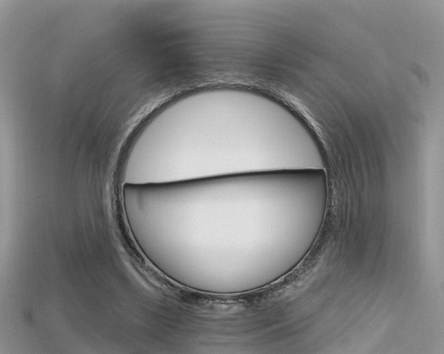 X0000115680443200911120950