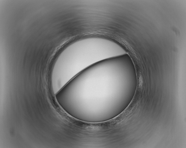 X0000115680444200911120950