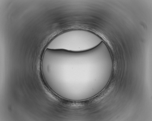 X0000115680445200911120950