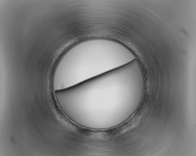 X0000115680446200911120950