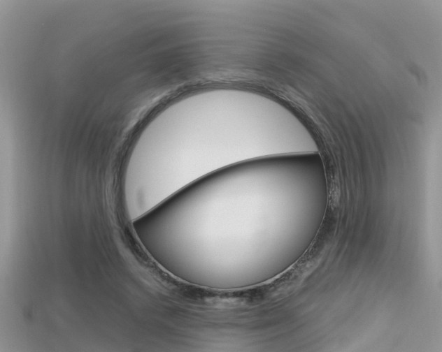 X0000115680448200911120950