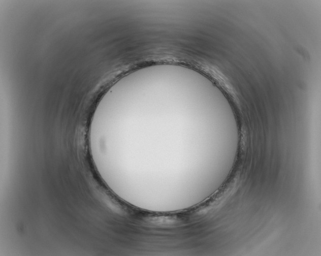 X0000115680449200911120950