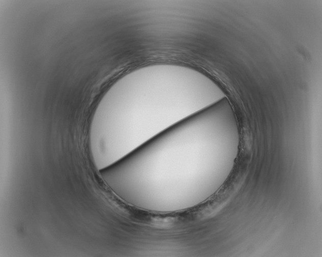X0000115680450200911120950