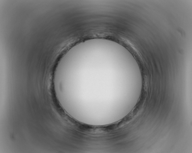 X0000115680451200911120950