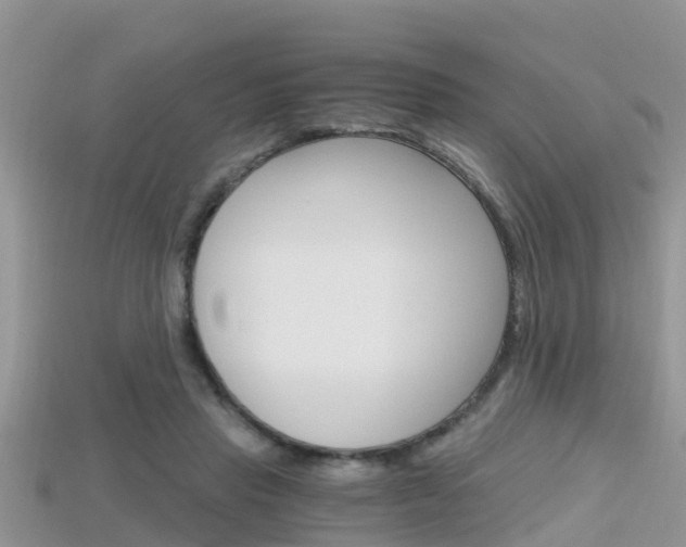 X0000115680453200911120950