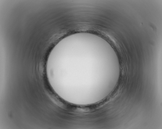 X0000115680455200911120950
