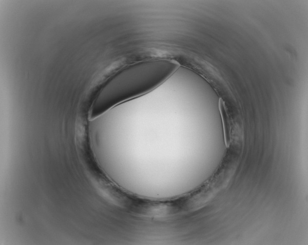X0000115680456200911120950