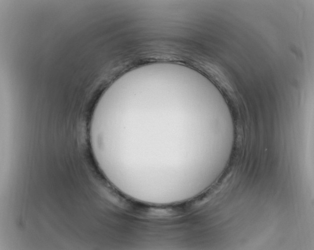 X0000115680457200911120950