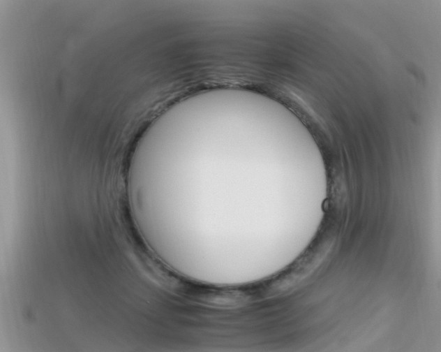 X0000115680459200911120950