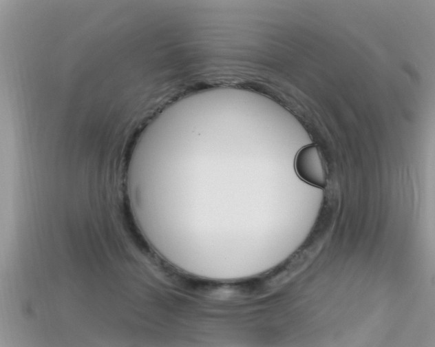 X0000115680460200911120950