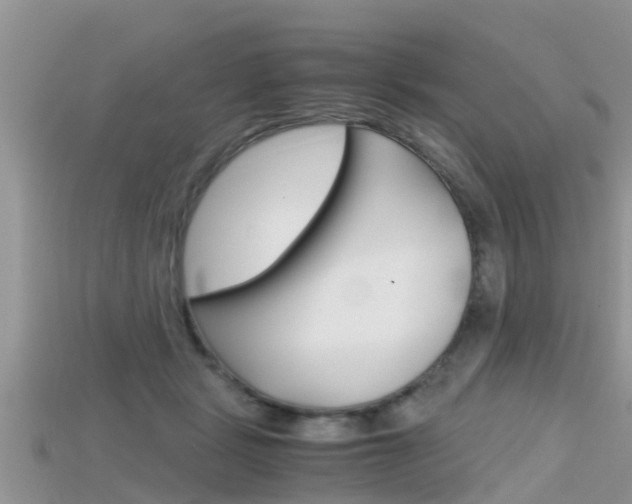 X0000115680461200911120950