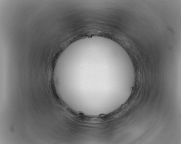 X0000115680463200911120950