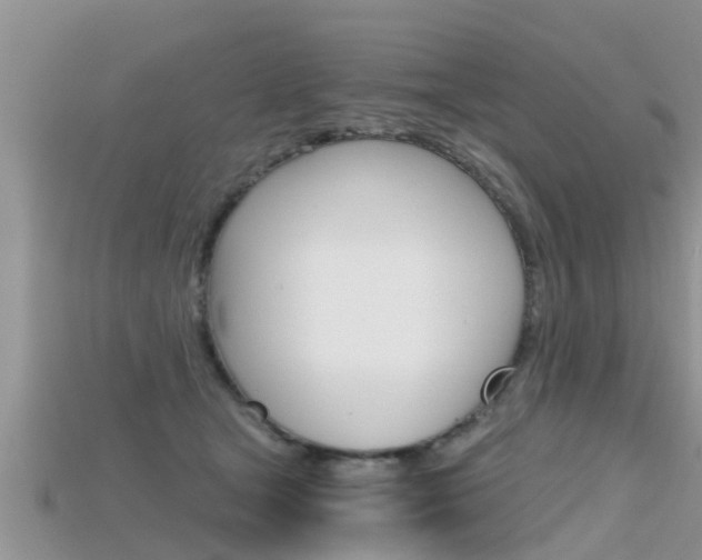 X0000115680465200911120950