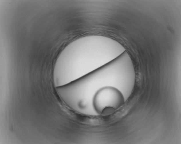 X0000115680466200911120950