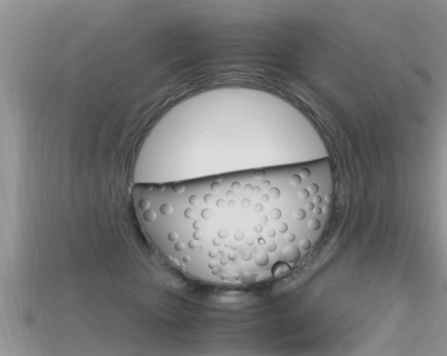 X0000115680467200911120950