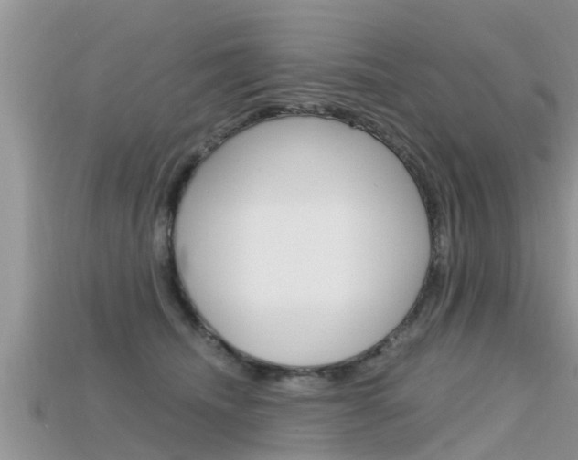 X0000115680468200911120950