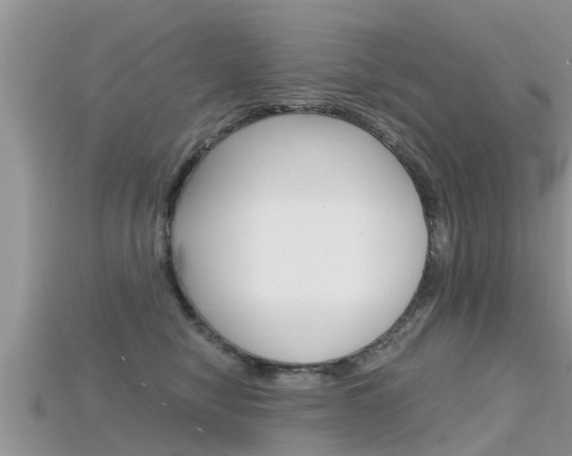 X0000115680470200911120950