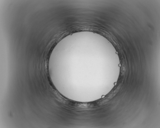 X0000115680473200911120950
