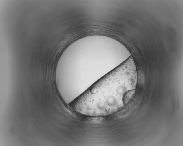 X0000115680474200911120950