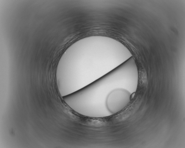 X0000115680475200911120951
