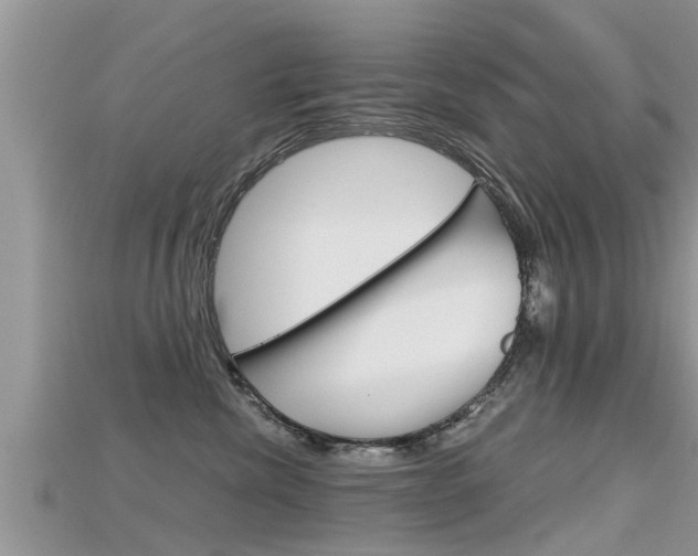 X0000115680476200911120951
