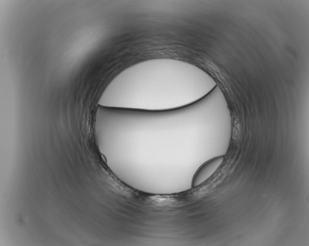 X0000115680477200911120951