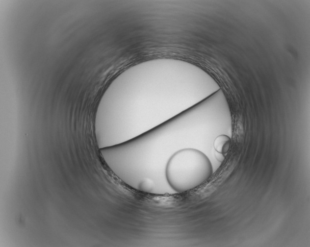 X0000115680478200911120951