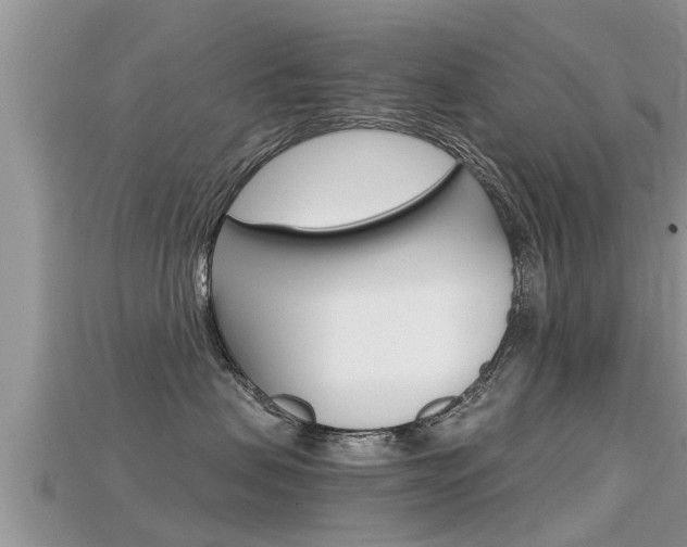 X0000115680479200911120951