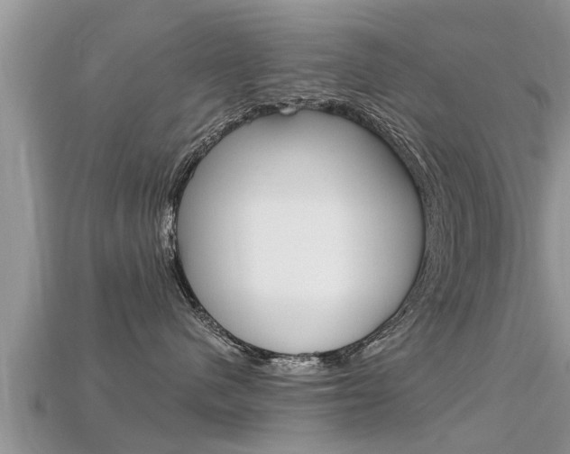 X0000115680480200911120951