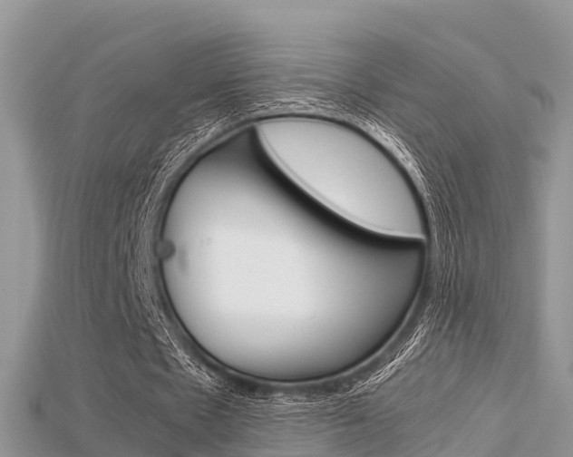 X0000115680481200911120950