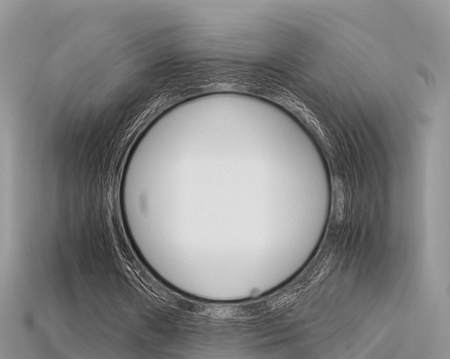 X0000115680482200911120950