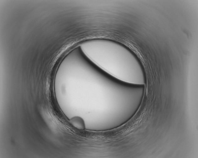 X0000115680483200911120950