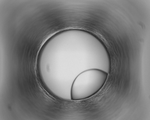 X0000115680484200911120950