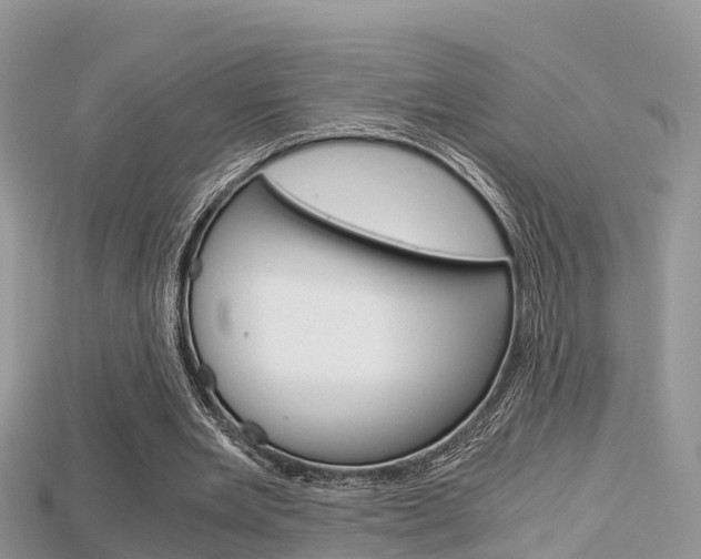 X0000115680485200911120950
