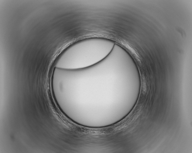 X0000115680486200911120950