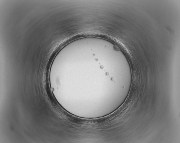 X0000115680487200911120950