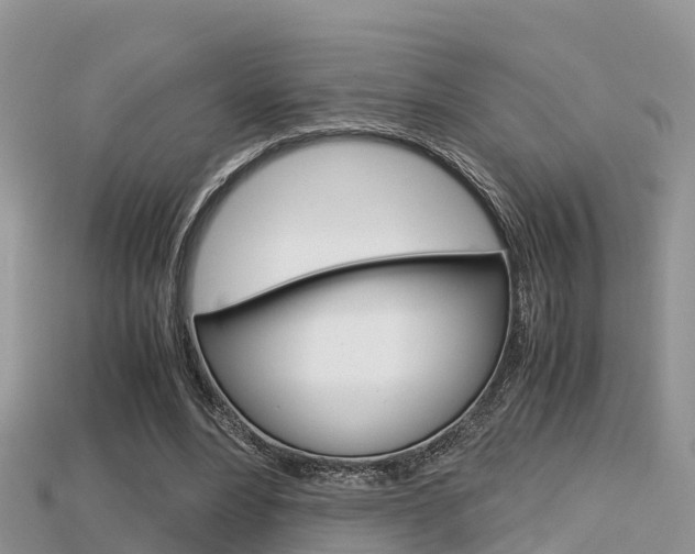 X0000115680488200911120950