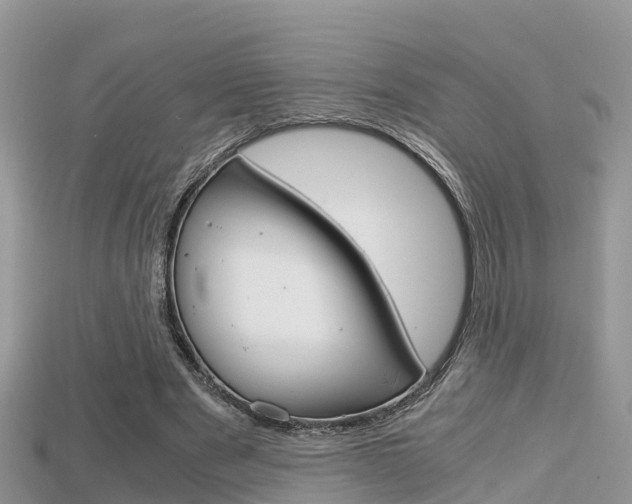 X0000115680489200911120950