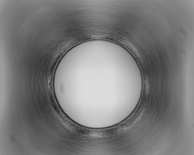 X0000115680490200911120950