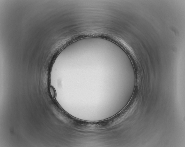 X0000115680493200911120950