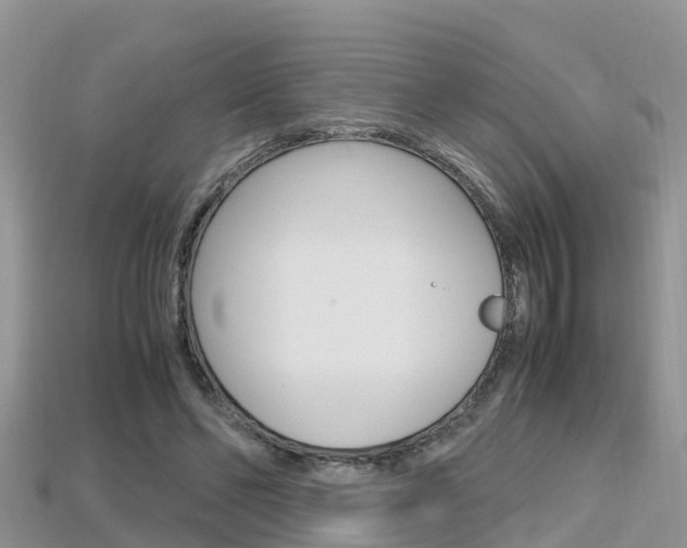 X0000115680494200911120950